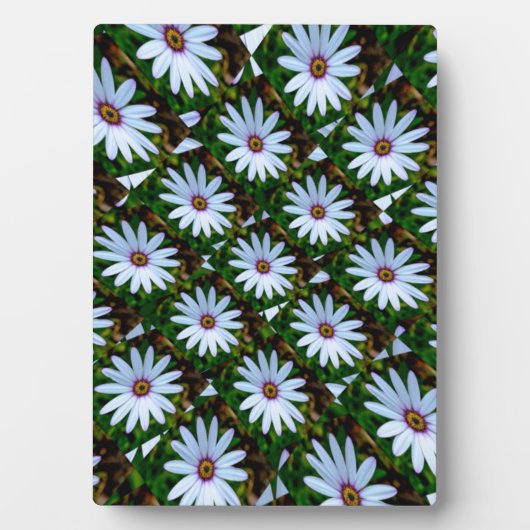 White Daisy Pattern Fotoplatte (Vorderseite)