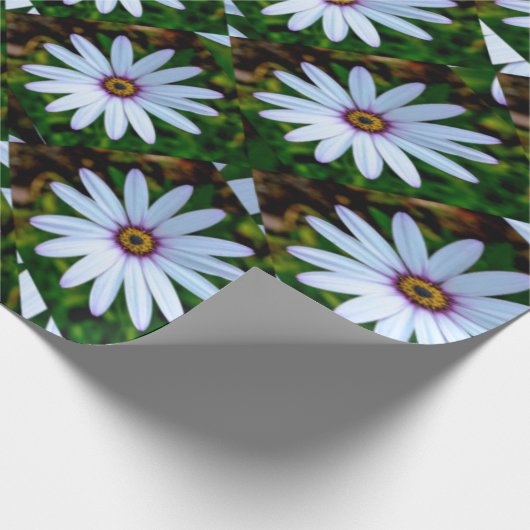 White Daisy Pattern Geschenkpapier (Ecke)