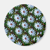 White Daisy Pattern Magnet (Vorne)