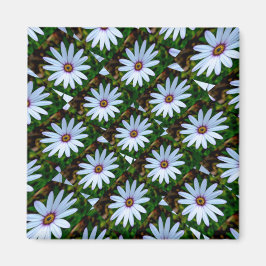 White Daisy Pattern Magnet
