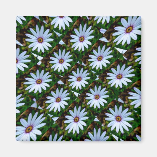 White Daisy Pattern Magnet (Vorne)