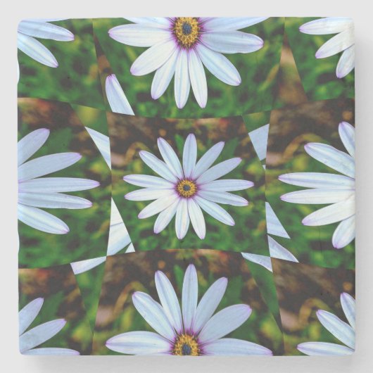 White Daisy Pattern Steinuntersetzer (Vorderseite)