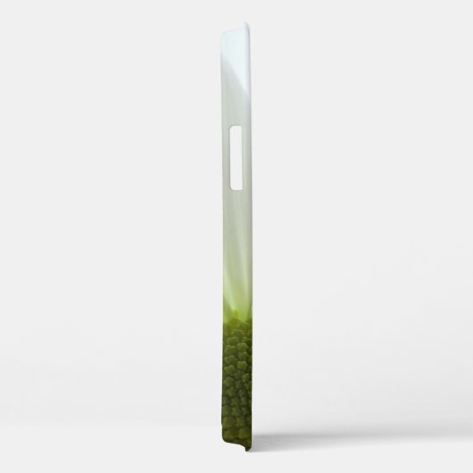 White Daisy Petals Case-Mate iPhone Hülle (Rückseite / Rechts)