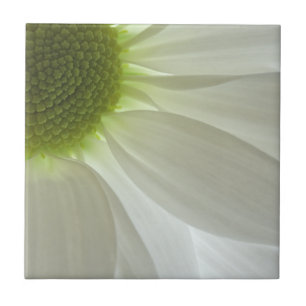 White Daisy Petals Fliese