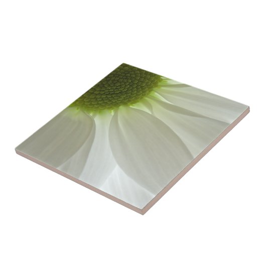 White Daisy Petals Fliese (Seite)