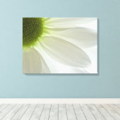 White Daisy Petals Leinwanddruck (Insitu (Holzboden))