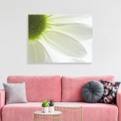 White Daisy Petals Leinwanddruck (Insitu (Wohnzimmer))