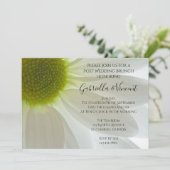 White Daisy Petals Post Wedding Brunch Einladung (Stehend Vorderseite)