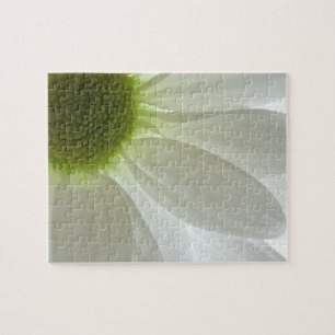 White Daisy Petals Puzzle