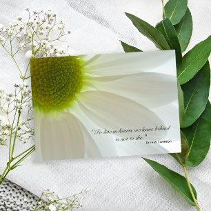 White Daisy Petals Vielen Dank für Ihr Beileid Dankeskarte