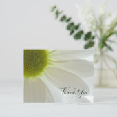 White Daisy Petals Vielen Dank Postkarte (Stehend Vorderseite)