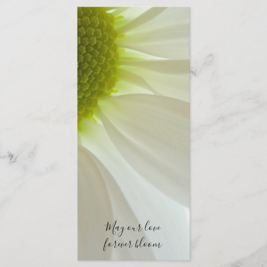 White Daisy Petals Wedding Program Programm (Vorderseite)