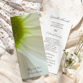 White Daisy Petals Wedding Program Programm