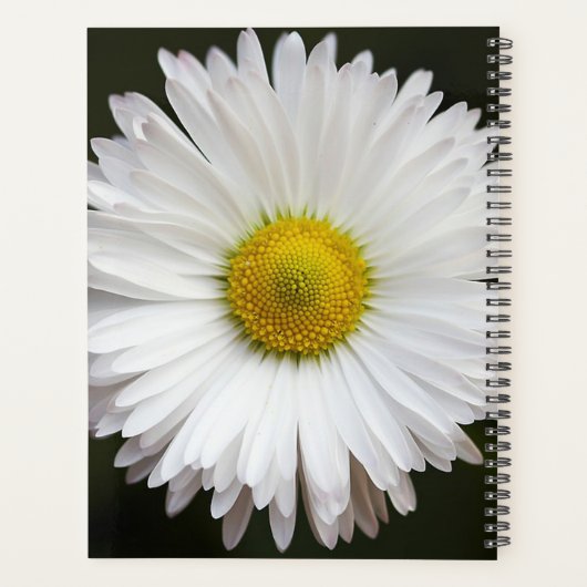 White Daisy Planer (Rückseite)