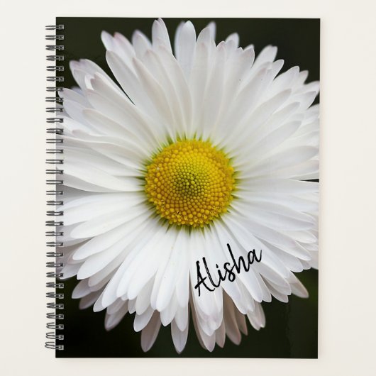 White Daisy Planer (Vorderseite)