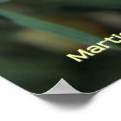 White Daisy Poster (Ecke)