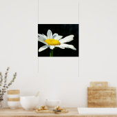 White Daisy Poster (Küche)