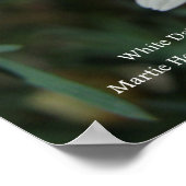 White Daisy Print - Wählen Sie Ihren Rahmen Poster (Ecke)