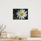 White Daisy Print - Wählen Sie Ihren Rahmen Poster (Küche)