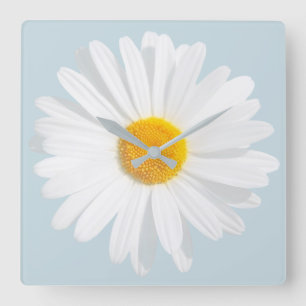 white daisy quadratische wanduhr