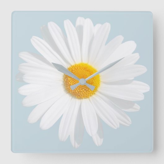 white daisy quadratische wanduhr (Vorderseite)