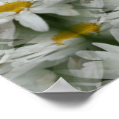 White Daisy Raindrops Blume Abstrakt Poster (Ecke)