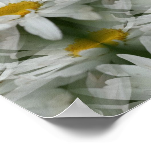 White Daisy Raindrops Blume Abstrakt Poster (Ecke)