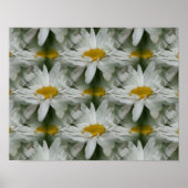 White Daisy Raindrops Blume Abstrakt Poster (Vorne)