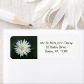 White Daisy Return Address Label (Insitu)