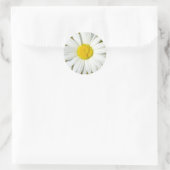 White Daisy Runder Aufkleber (Tasche)