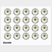 White Daisy Runder Aufkleber (Blatt)