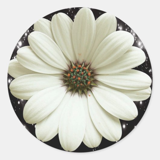 White Daisy Runder Aufkleber (Vorderseite)