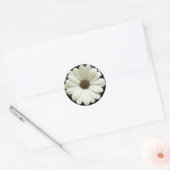 White Daisy Runder Aufkleber (Umschlag)