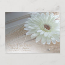 White Daisy Save the Date Hochzeitsankündigungen