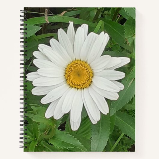 White Daisy Spiral Notebook Notizblock (Vorderseite)