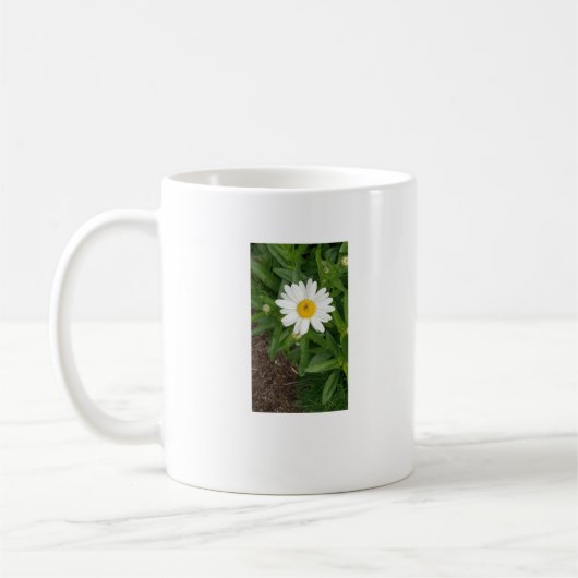 White Daisy Tasse (Links)