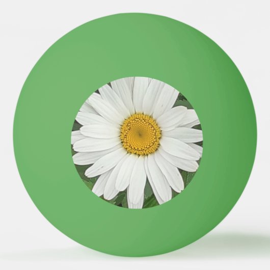 White Daisy Tischtennisball (Vorderseite)