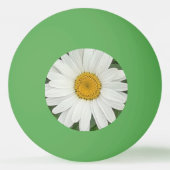 White Daisy Tischtennisball (Rückseite)