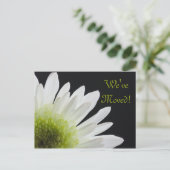 White Daisy über den schwarzen Adresswechsel Ankündigungspostkarte (Stehend Vorderseite)