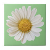 White Daisy über Hintergrund auf der Seite Grün Fliese (Vorderseite)