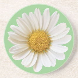 White Daisy über Hintergrund auf der Seite Grün Getränkeuntersetzer