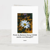 White Daisy und Blackeyed Susans Karte (Rückseite)