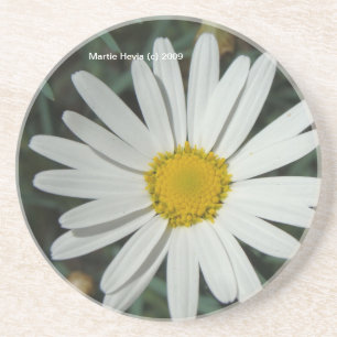 White Daisy - Untersetzer