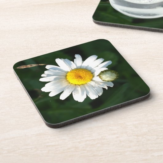 White Daisy Untersetzer (Linke Seite)