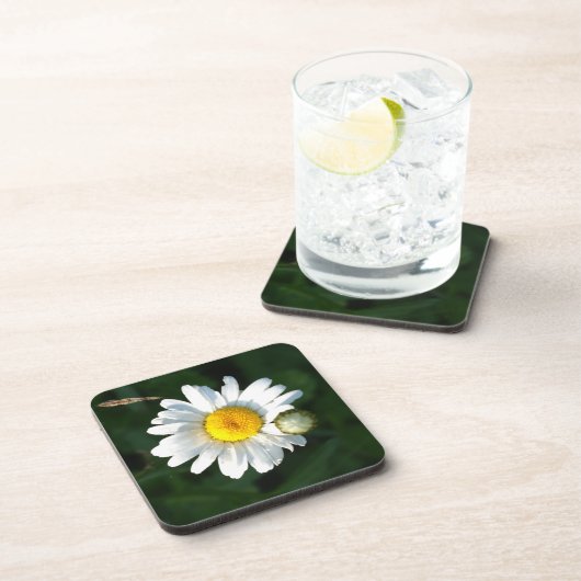 White Daisy Untersetzer (Rechte Seite)