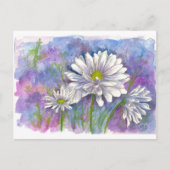 White Daisy Watercolor Blume Blau Postkarte (Vorderseite)