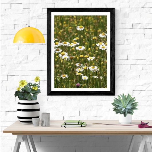 White Daisy Wildblumen Poster