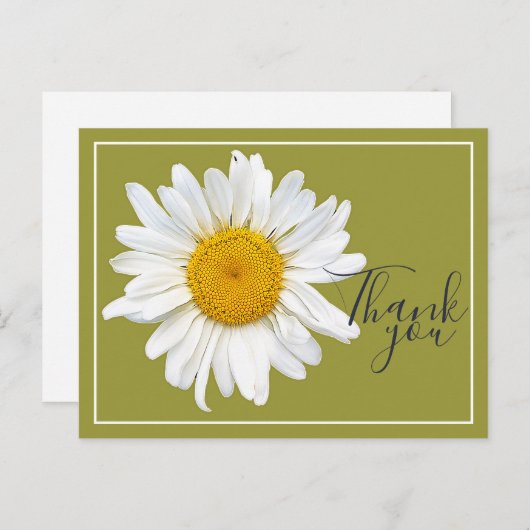 White Daisy Yellow Center Grüner Hintergrund Viele Postkarte (Vorne/Hinten)