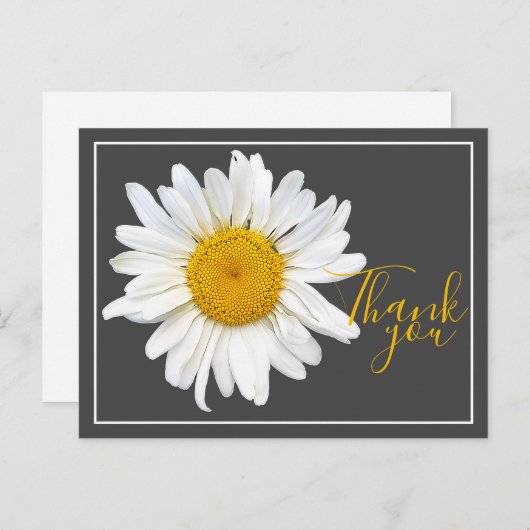 White Daisy Yellow Centre Grau Hintergrund Danke Postkarte (Vorne/Hinten)