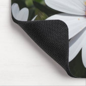 White Daisy's in Bloom Mousepad (Ecke)